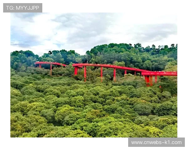 光明虹桥公园打造“第二观赛区”，骑行旅游融合升温